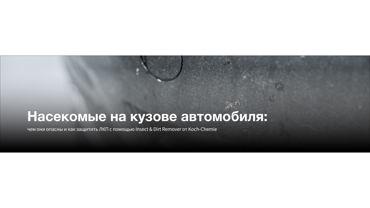 Насекомые на кузове автомобиля: чем они опасны и как защитить ЛКП с помощью Insect & Dirt Remover от Koch-Chemie